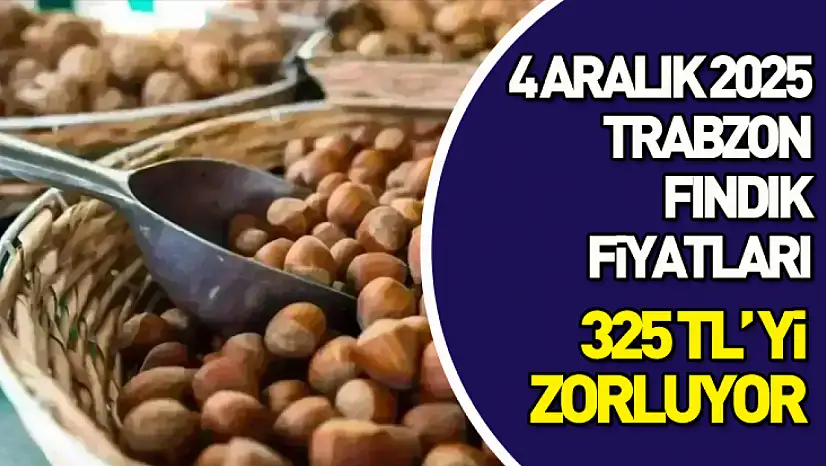 4 Aralık 2025 Trabzon Fındık Fiyatları? Avrupa Talebi Devam Ediyor!