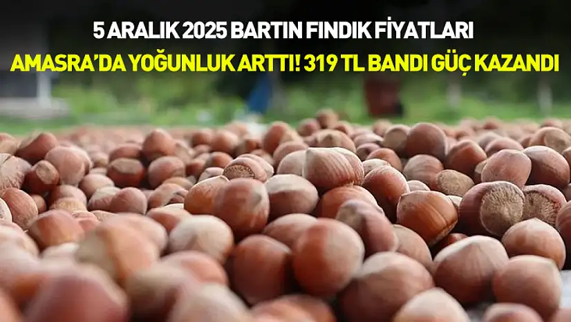 5 Aralık 2025 Bartın Fındık Fiyatları | Amasra'da Yoğunluk Arttı! 319 TL Bandı Güç Kazandı