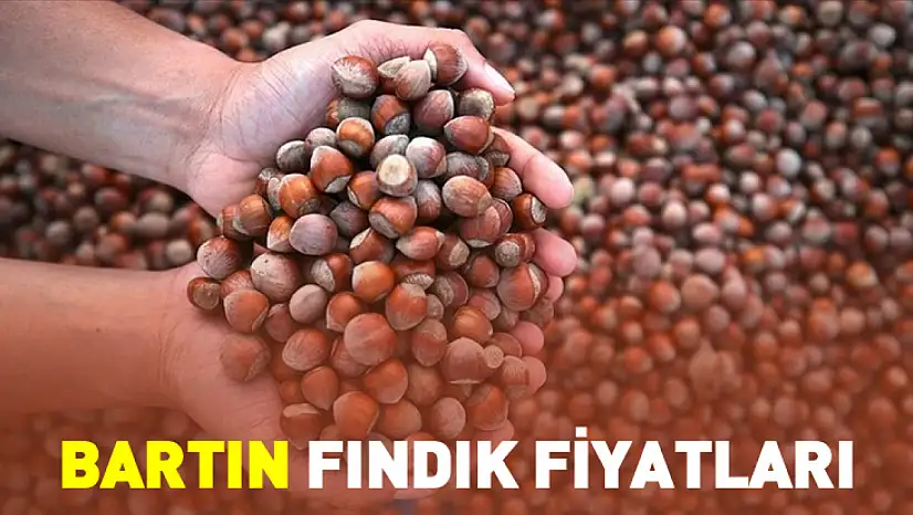 Bartın'da Fındık Fiyatları Sahil Üretiminin Etkisiyle Şekilleniyor