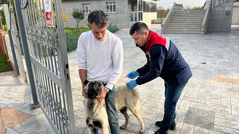 Çarşamba'da 'Kuduz' ve 'Kimliklendirme' çalışması