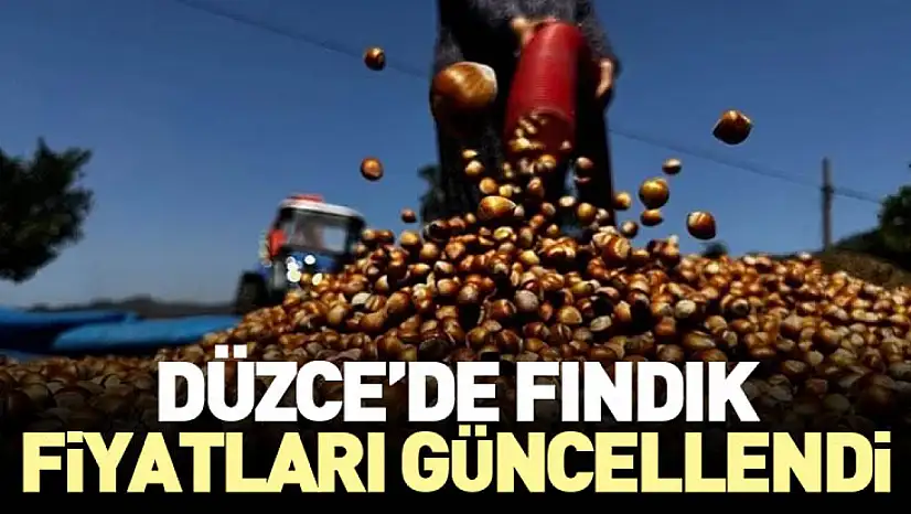 Düzce'de Fındık Fiyatları Güncellendi