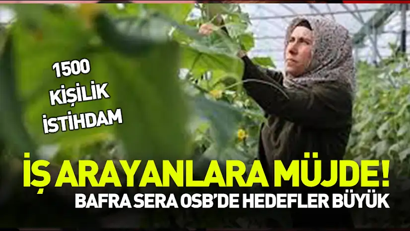 İş arayanlara müjde! Bafra Sera OSB'de hedefler büyük