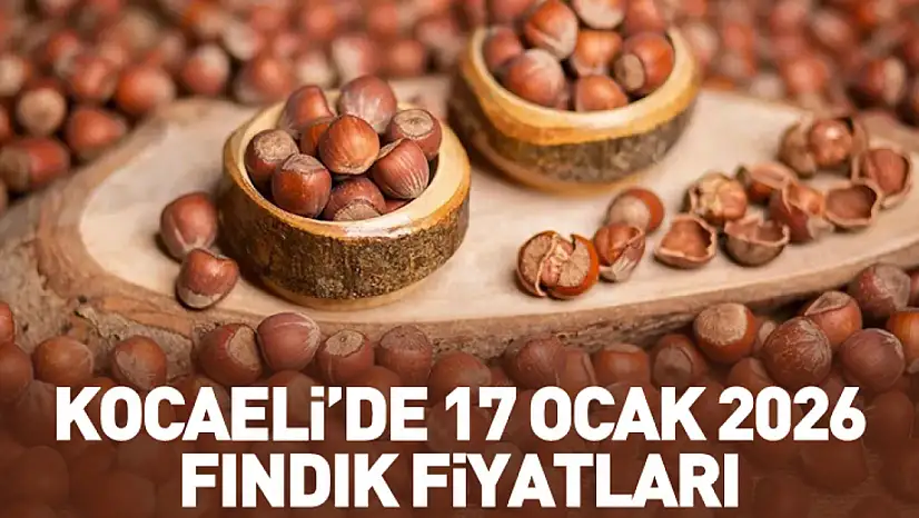 Kocaeli'de 17 Ocak 2026 Fındık Fiyatları: Marmara piyasasında sınırlı artış sürüyor