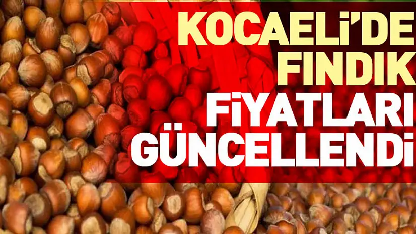 Kocaeli'de Fındık Fiyatları Güncellendi