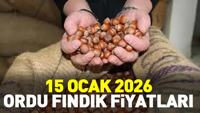 Ordu'da Fındık Fiyatları İlçelere Göre Değişiyor: Sahil ile Yüksek Kesimler Arasında Makas Dikkat Çekiyor