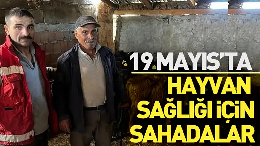 19 Mayıs'ta Hayvan Sağlığı İçin Sahadalar