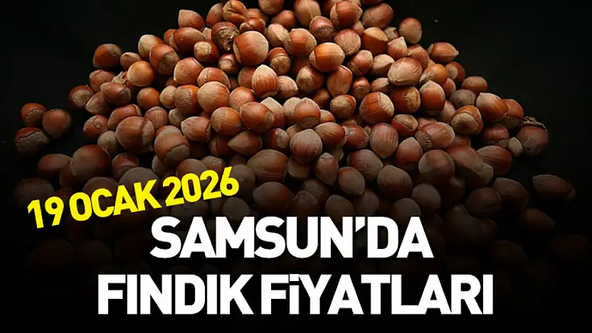 19 Ocak 2026 Samsun'da Fındık Fiyatları