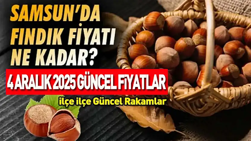 4 Aralık 2025 Samsun Fındık Fiyatları ne kadar? Piyasa Rekabeti Sertleşti