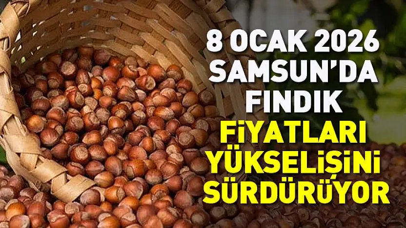 8 Ocak 2026 Samsun'da Fındık Fiyatları yükselişini sürdürüyor