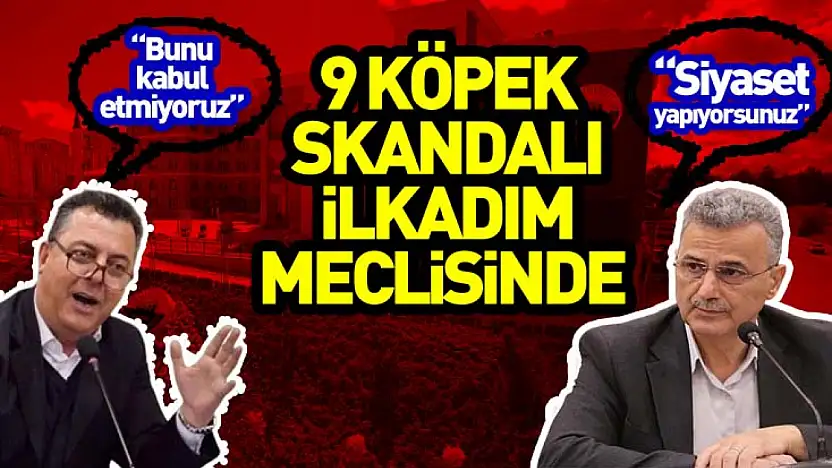 9 Köpek skandalı İlkadım meclisinde
