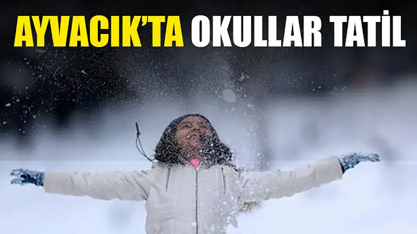 Ayvacık'ta okullar tatil