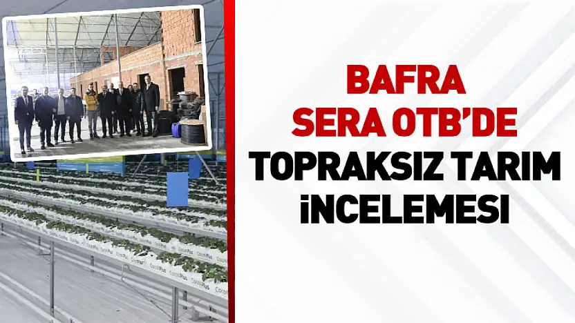 Bafra Sera OTB'de topraksız tarım incelemesi