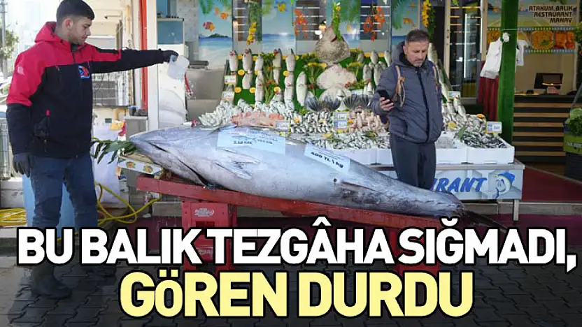 Bu Balık Tezgâha Sığmadı, Gören Durdu