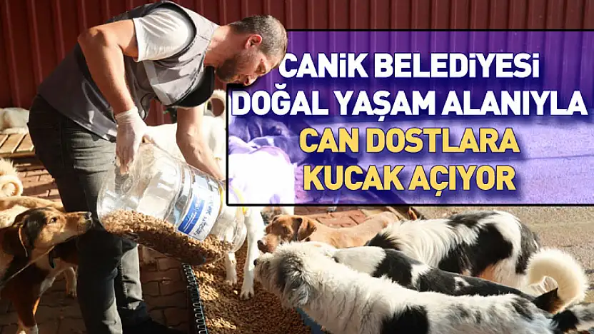 Canik Belediyesi doğal yaşam alanıyla can dostlara kucak açıyor