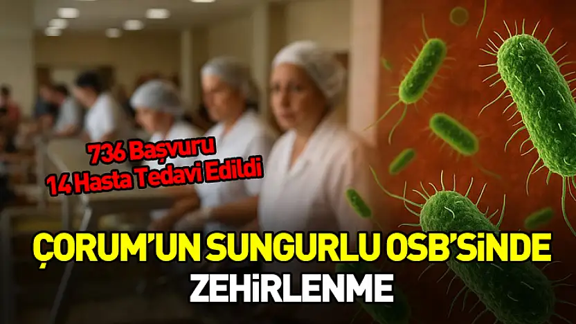 Çorum Valiliği'nden Sungurlu OSB'deki Zehirlenme Vakalarıyla İlgili Açıklama
