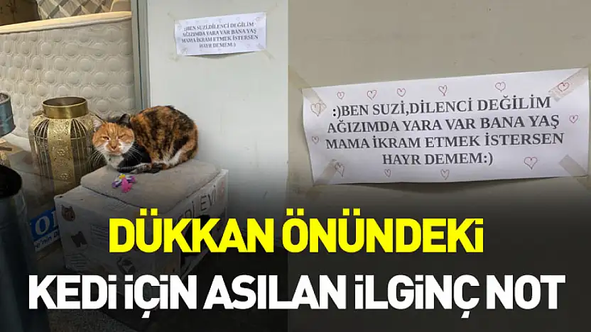 Dükkan önündeki kedi için asılan ilginç not dikkat çekti: 'Dilenci değilim'