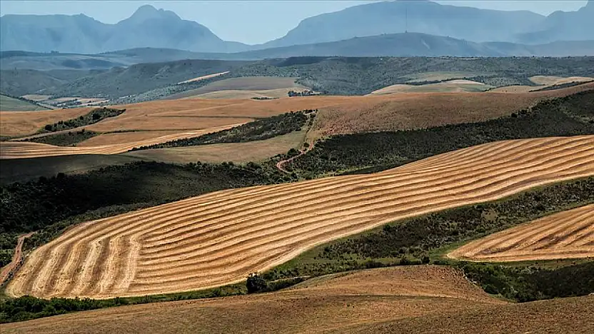Fıkra gibi 2B süreci: Ne alan mutlu ne bekleyen