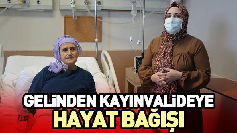 Gelinden Kayınvalideye Hayat Bağışı