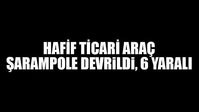 Hafif Ticari Araç Şarampole Devrildi, 6 Yaralı