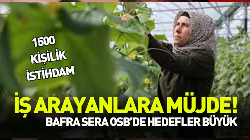 İş arayanlara müjde! Bafra Sera OSB'de hedefler büyük