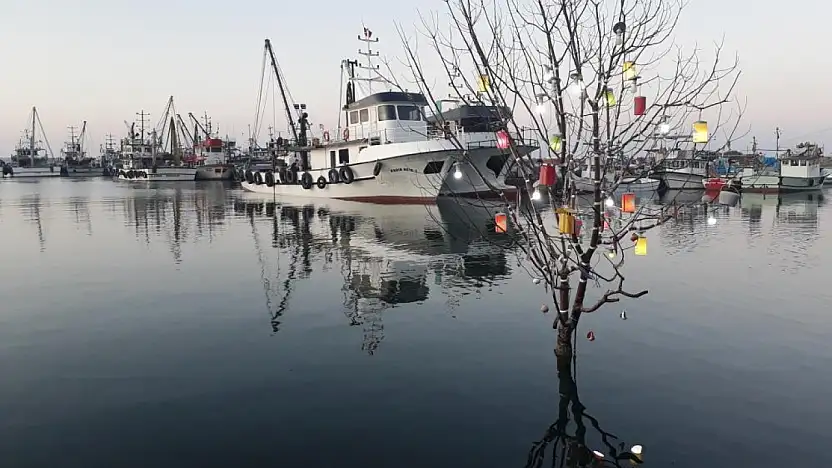 Japon Turistlere Davet: Kushimoto Parkı Samsun'da Hayat Buluyor