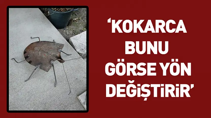 'Kokarca Bunu Görse Yön Değiştirir'
