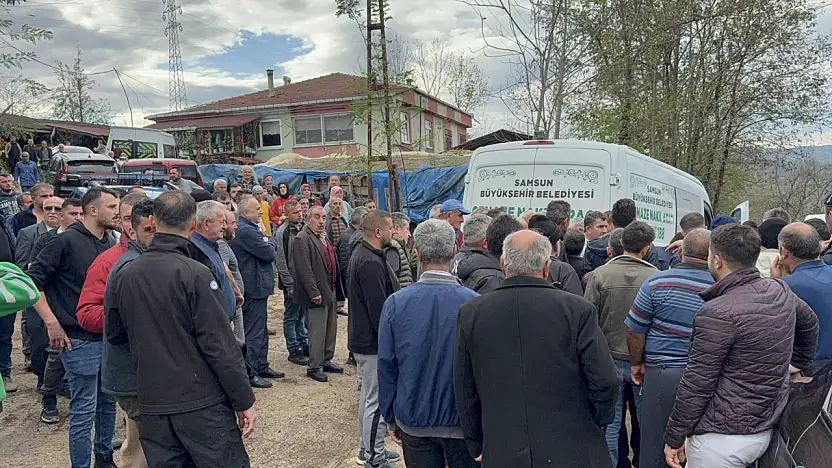 Komşusuna ağaç kesiminde yardım ederken hayatını kaybetti