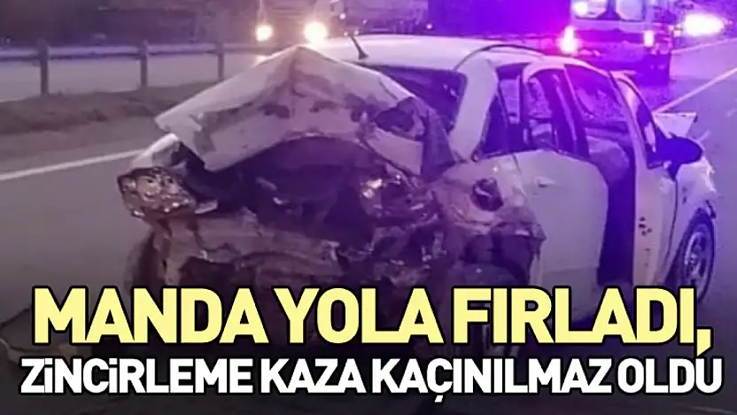 Manda Yola Fırladı, Zincirleme Kaza Kaçınılmaz Oldu