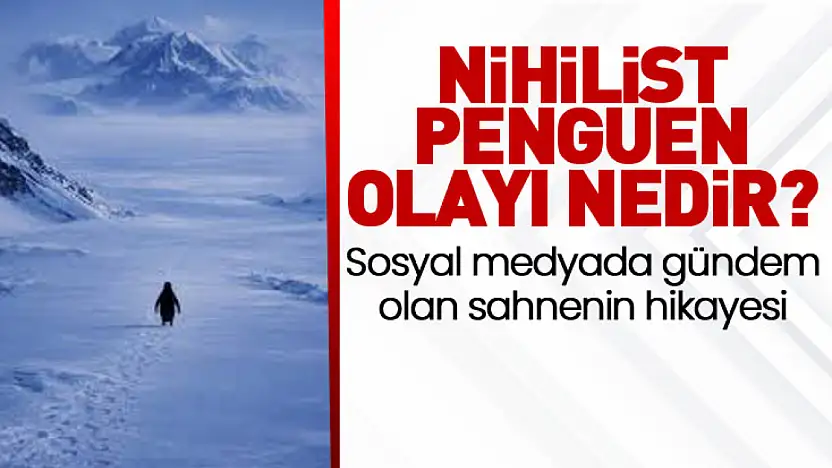 'Nihilist Penguen' Olayı Nedir? Sosyal Medyada Gündem Olan Sahnenin Hikayesi