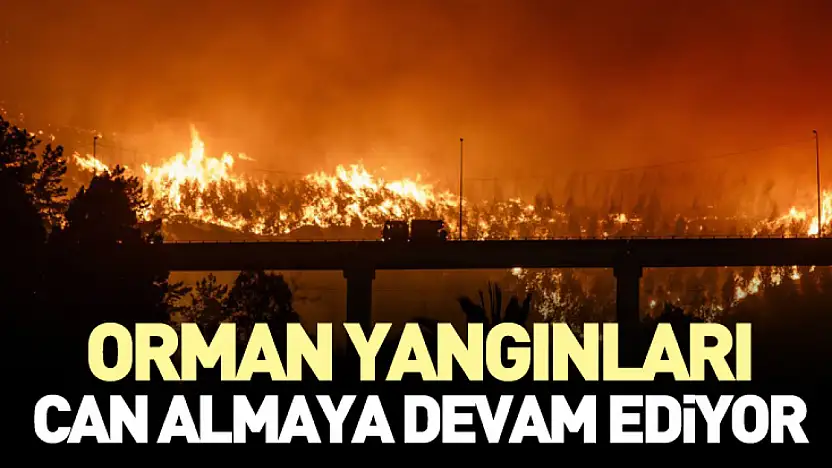 Orman Yangınları Can Almaya Devam Ediyor