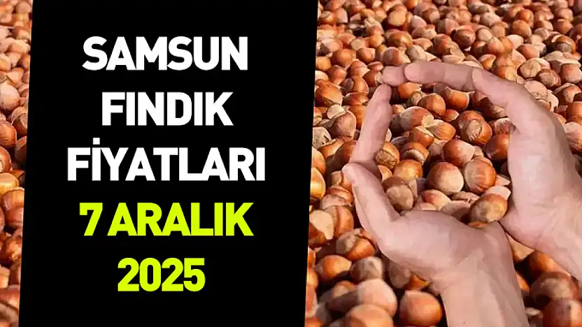 Samsun 7 Aralık 2025 Fındık Fiyatları | Piyasada Denge Arayışı Güçleniyor