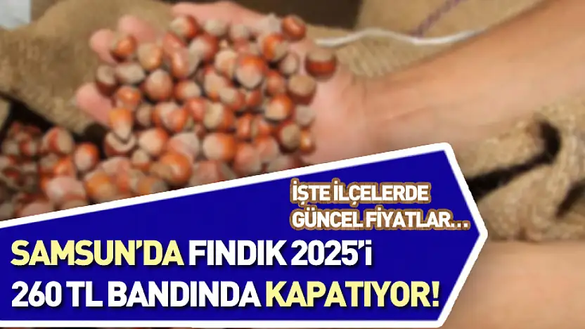 Samsun'da fındık 2025'i 260 TL bandında kapatıyor! İşte ilçelerde güncel fiyatlar…