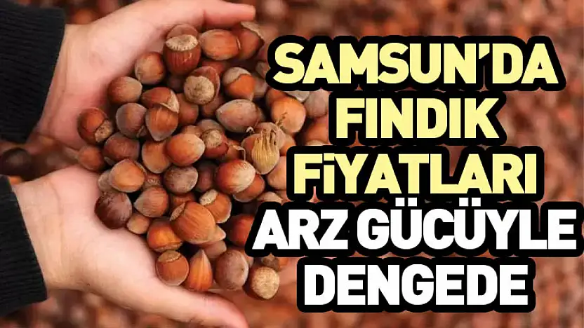 Samsun'da Fındık Fiyatları Arz Gücüyle Dengede