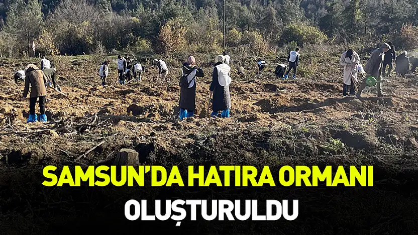 Samsun'da hatıra ormanı oluşturuldu