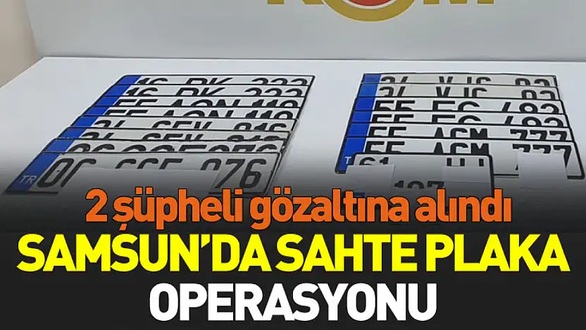 Samsun'da sahte plaka operasyonu: 2 gözaltı