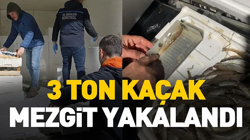 Samsun'da yasal boy sınırının altında 3 ton mezgit ele geçirildi