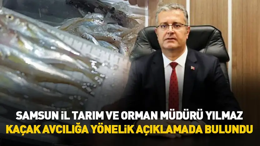 Samsun İl Tarım ve Orman Müdürü Kemal Yılmaz, kaçak avcılığa yönelik açıklamada bulundu