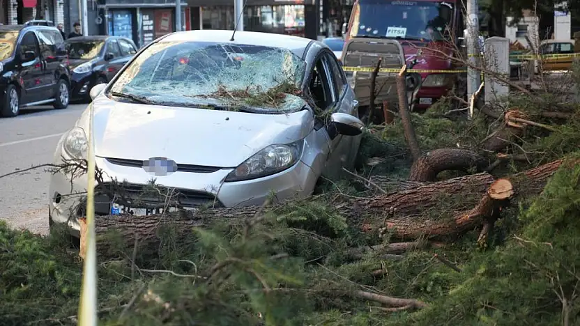 Samsun'u Fırtına Vurdu: Ağaçlar Devrildi, Araçlar Ezildi, Çatılar Havada Uçtu