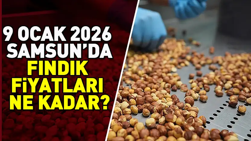 Samsun ve İlçelerinde Fındık Fiyatları Ne Kadar?