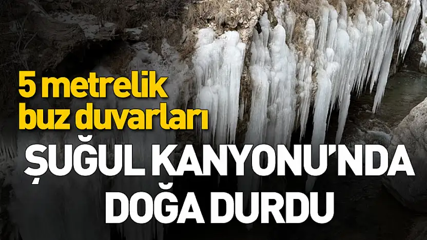 Şuğul Kanyonu'nda dev buz sarkıtları oluştu