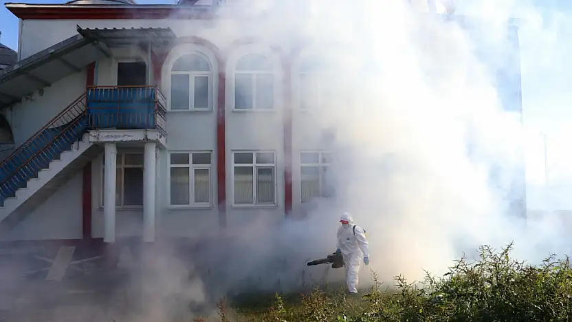 Tarım Zararlısına Karşı Çarşamba'da Mücadele Sürüyor