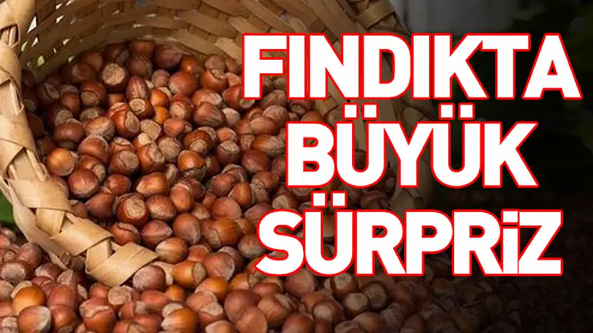 Türkiye'nin Fındık İhracatında İlk 3 Ay Verileri Açıklandı