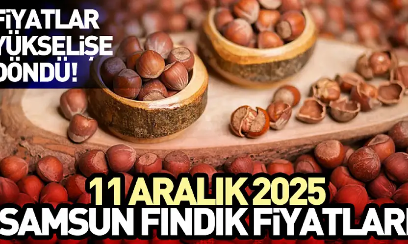 11 Aralık Samsun Fındık Fiyatları