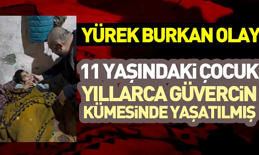 11 Yaşındaki Çocuk Yıllarca Güvercin Kümesinde Yaşatılmış