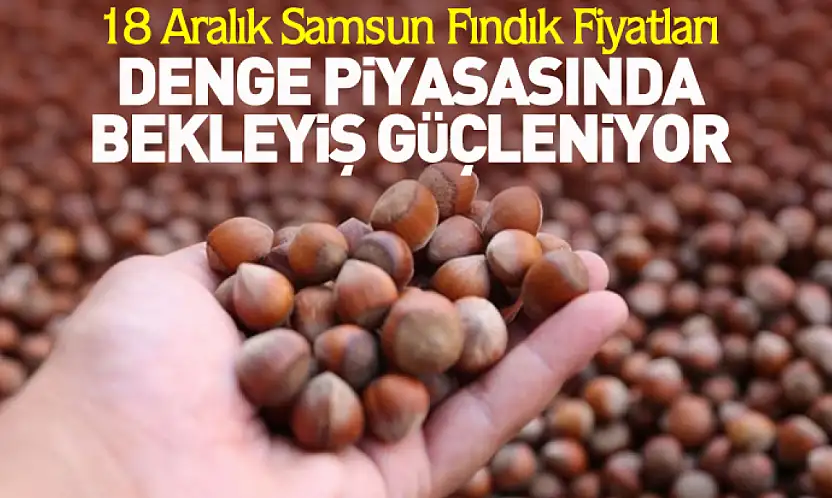 18 Aralık Samsun Fındık Fiyatları | Denge Piyasasında Bekleyiş Güçleniyor