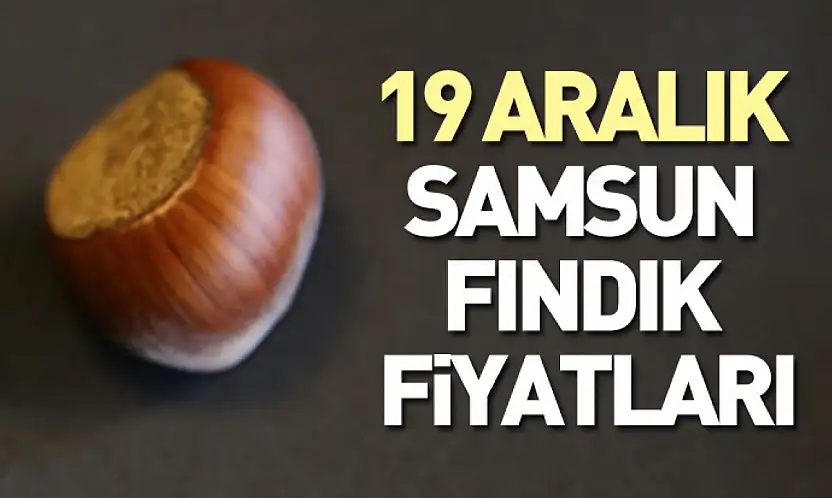19 Aralık Samsun Fındık Fiyatları | Denge Korunuyor, Bekleyiş Sürüyor