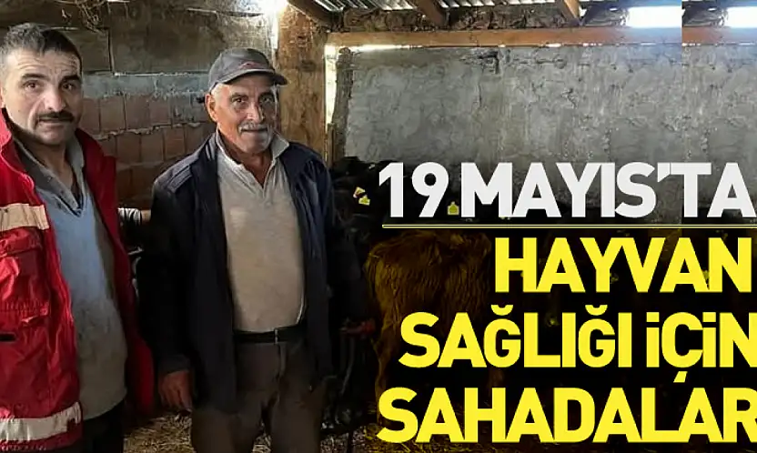19 Mayıs'ta Hayvan Sağlığı İçin Sahadalar
