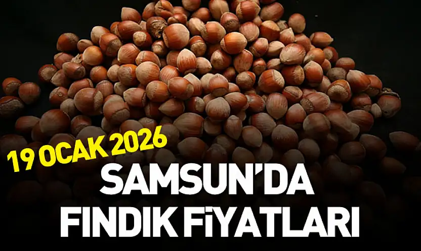 19 Ocak 2026 Samsun'da Fındık Fiyatları