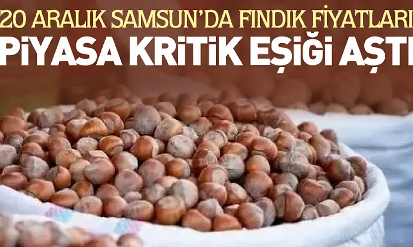 20 Aralık Samsun'da Fındık Fiyatları | Piyasa Kritik Eşiği Aştı