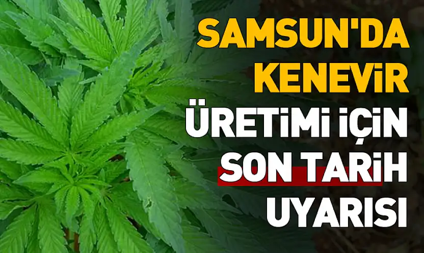 2026 Yılı Kenevir Üretimi Başvuruları Başladı